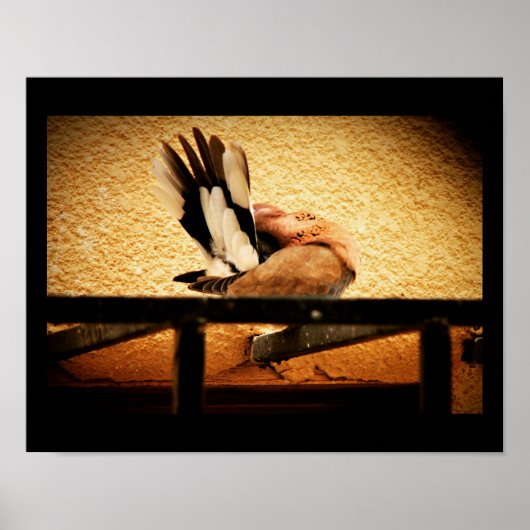 非表示美しい ポスター (正面)