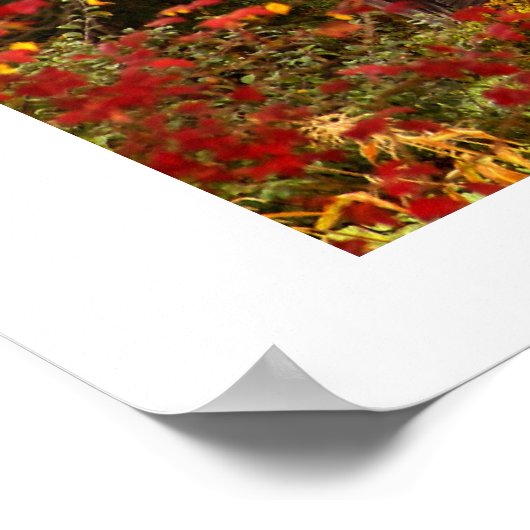 非表示美しい。 ポスター (角)