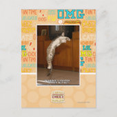 非表示3ポインタ ポストカード (正面)