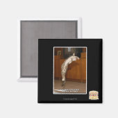 非表示3ポインタ マグネット (正面/裏面)