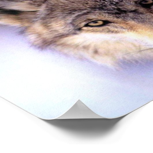 非表示 ポスター (角)