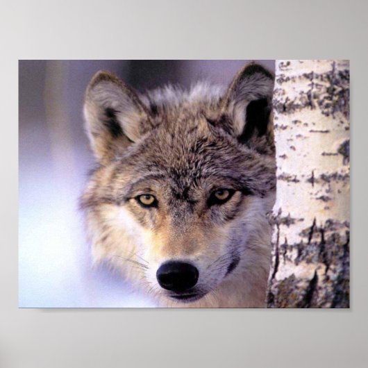 非表示 ポスター (正面)