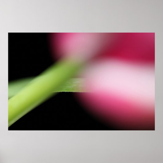 非表示 ポスター (正面)