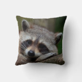 非道にかわいいベビーのアライグマ クッション (裏面)