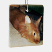 非難のバニーウサギのオーナメント セラミックオーナメント (右)