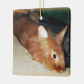 非難のバニーウサギのオーナメント セラミックオーナメント (左)