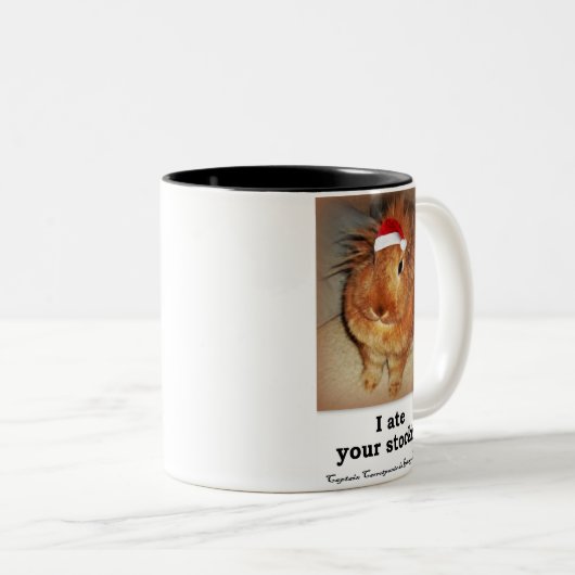 非難のバニーウサギ2の調子のマグ ツートーンマグカップ (正面右)