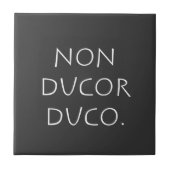 非ducor duco タイル (正面)