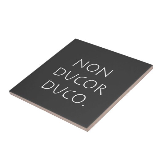 非ducor duco タイル (側面)
