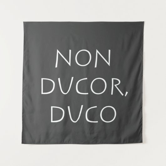 非ducor duco タペストリー (正面)