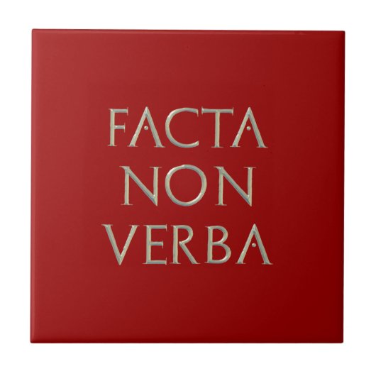 非Facta Verbaのタイル タイル (正面)