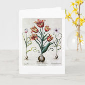 非TulipaのPerficaのaperta、Tulipa Polyanthos Praco カード (黄色い花)