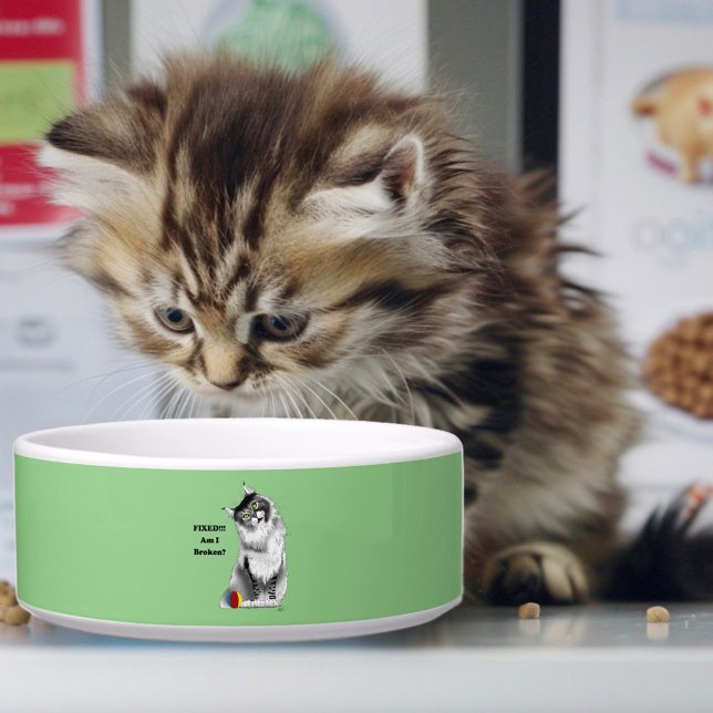 面白いふわふわメインクーンの猫 緑のユーモア ボウル (クリエイターアップロード済み)