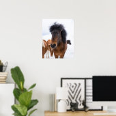 面白いアイスランド馬の肖像画 ポスター (ホームオフィス)