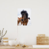 面白いアイスランド馬の肖像画 ポスター (キッチン)