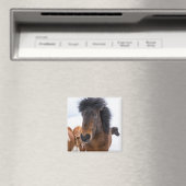 面白いアイスランド馬の肖像画 マグネット (インサイチュ (食洗機))