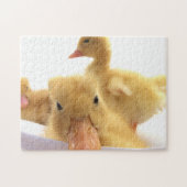 面白いアヒル ジグソーパズル (横)