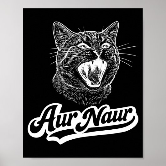 面白いオールナウ猫 サルカスティックなああ ポスター (正面)