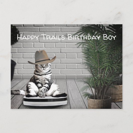 面白いカウボーイハットをかぶった猫の掃除機の誕生日カード ポストカード (正面)