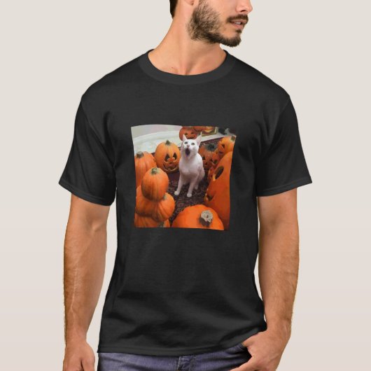面白いカボチャ猫ハロウィンメメ Tシャツ (正面)