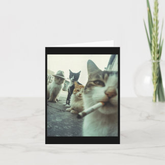面白いギャング猫のタバコ猫 楽しい猫のミーム ペット カード