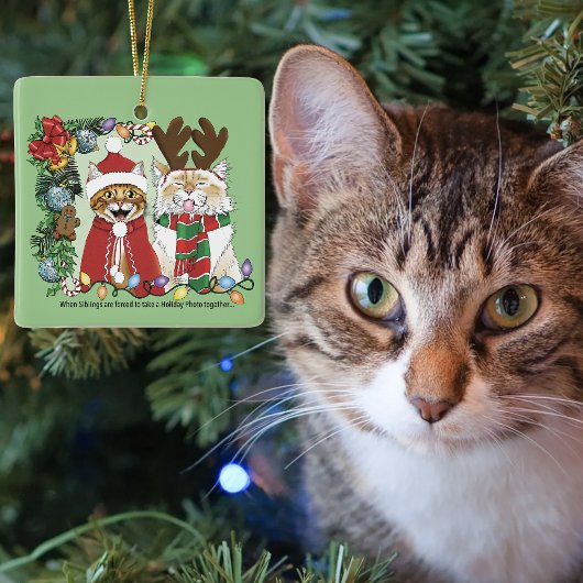 面白いクリスマスの猫の休日の写真兄弟グリーン セラミックオーナメント