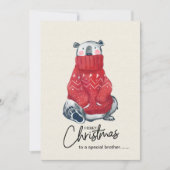 面白いクリスマスカード、面白い兄・弟クリスマス シーズンカード (正面)