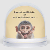 面白いサル (正面)