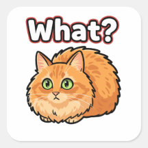 面白いショックを受けたジンジャークラブ猫の何?のMemeステッカー