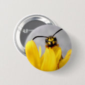 面白いスズメバチ 缶バッジ (正面&裏面)