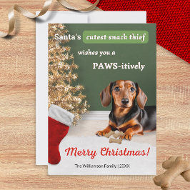 面白いダックスフント 犬 動物 クリスマス 冗談