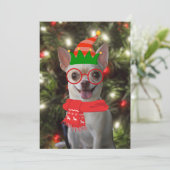 面白いチワワの犬のペットのクリスマス シーズンカード (スタンド正面)