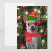 面白いチワワの犬のペットのクリスマス シーズンカード (正面/裏面)