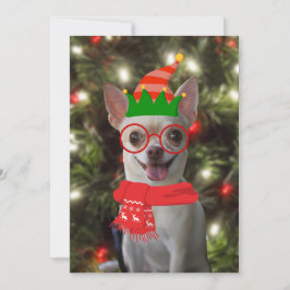 面白いチワワの犬のペットのクリスマス シーズンカード
