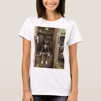 面白いチワワの自撮りファーム 女性用Tシャツ Tシャツ