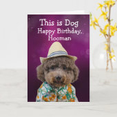 面白いトイプードルの誕生日 カード (黄色い花)