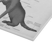 面白いネコの解剖図　ネコ好きな理系・お笑い カッティングボード (角)