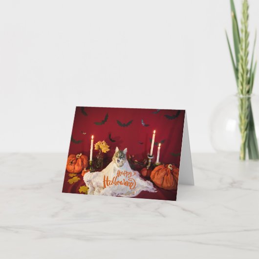 面白いハロウィーンの衣装を着た怖い猫 カード (正面)