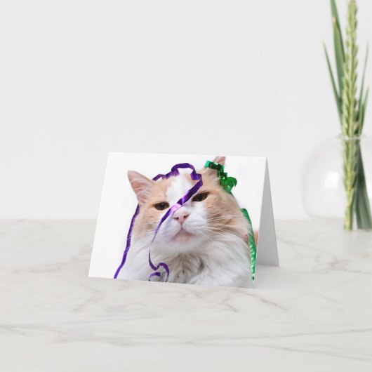 面白いパーティー猫 カード (正面)