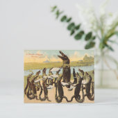 面白いフロリダのワニ合唱ポストカード ポストカード (スタンド正面)