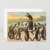 面白いフロリダのワニ合唱ポストカード ポストカード (正面/裏面)