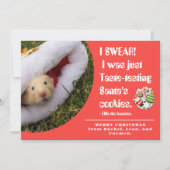面白いペットのハムスターの写真のクリスマスカード シーズンカード (正面)