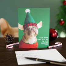 面白いペットの写真 クリスマス ホリデー ポストカード
