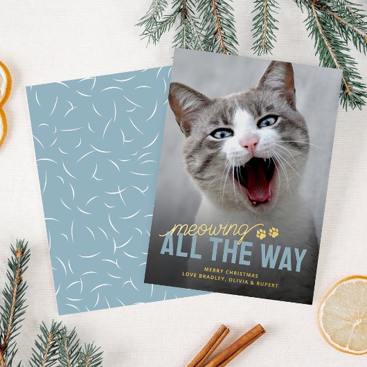 面白いペット 猫 クリスマス 箔シーズンカード