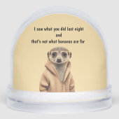 面白いミーアキャット (正面)