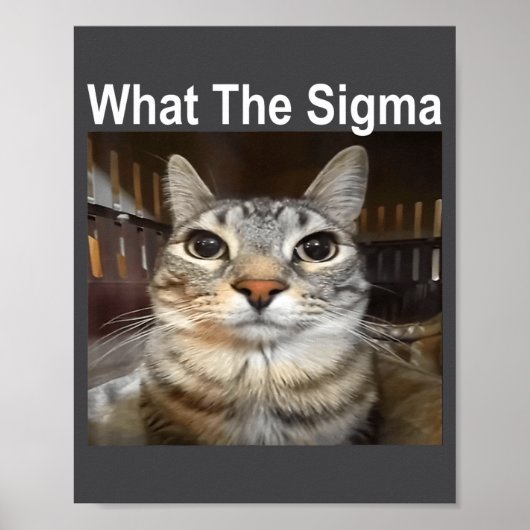 面白いミーム猫 What The Sigma かわいい猫ミーム 引用符 ポスター (正面)