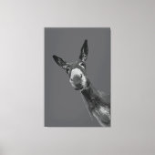 面白いロバのグレースケール肖像画アート キャンバスプリント (正面)
