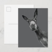 面白いロバのグレースケール肖像画アート ポストカード (正面/裏面)