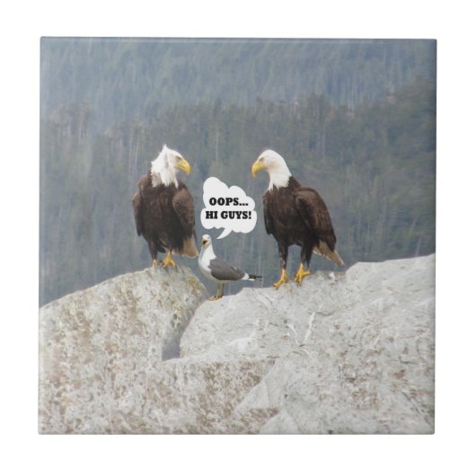 面白いワシとウミネコ タイル (正面)