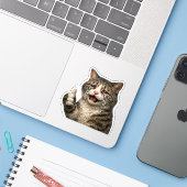 面白い共感できる泣く猫のミーム シール (ノートパソコンとiPhone)
